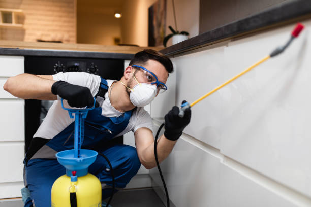 Best Ant Control Services  in Del Mar, CA