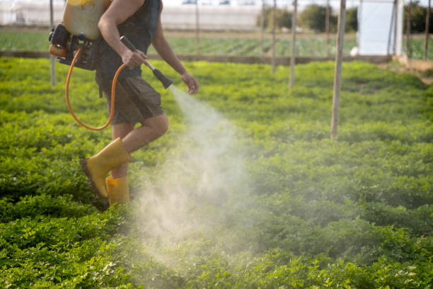 Professional Pest Control in Del Mar, CA