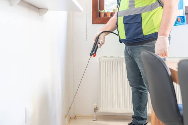Best Termite Control Services  in Del Mar, CA